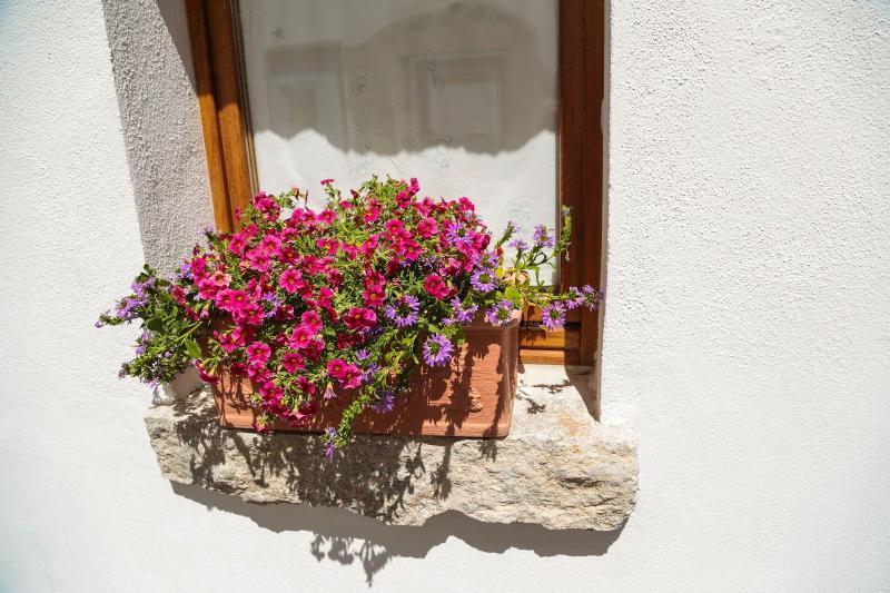 Olbia Domus Inn Exteriér fotografie